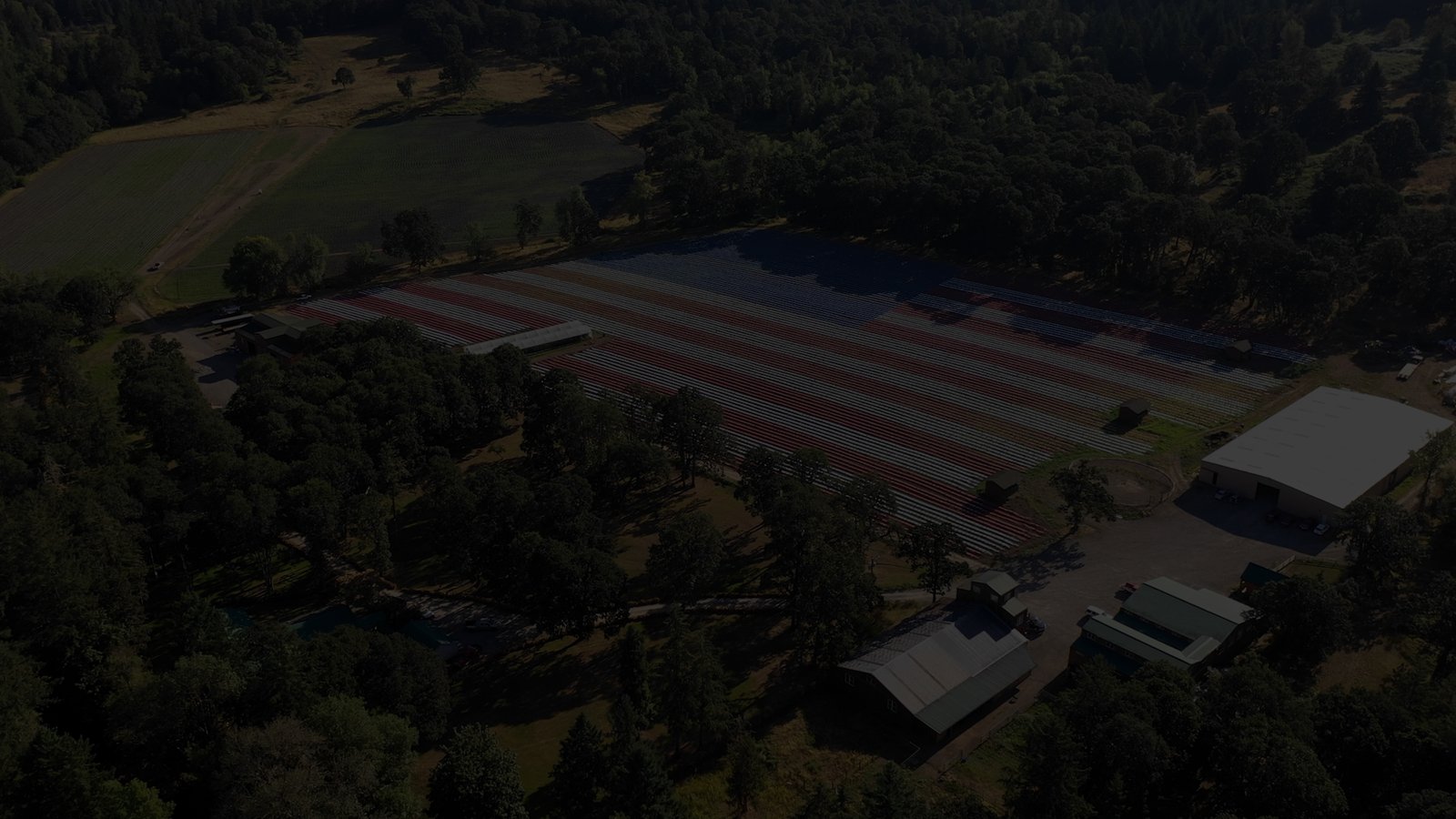 USA Hemp